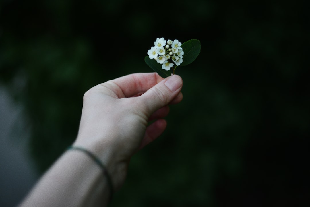 ec14f49b45bf7fd50e4128c3a49cef23_MD5.png