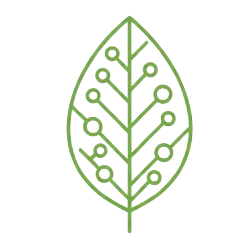 PKM-logo.png
